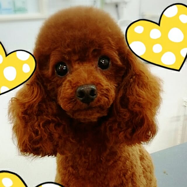 lalacoさんの実例写真
