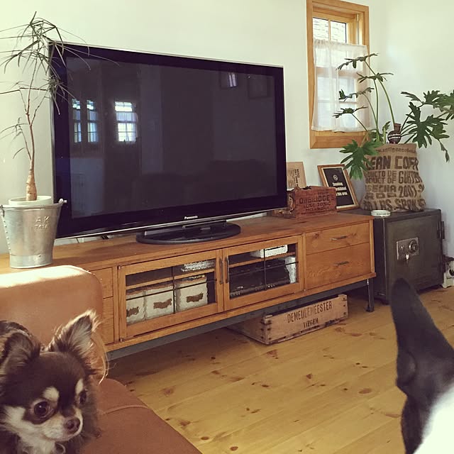 yumiさんの実例写真