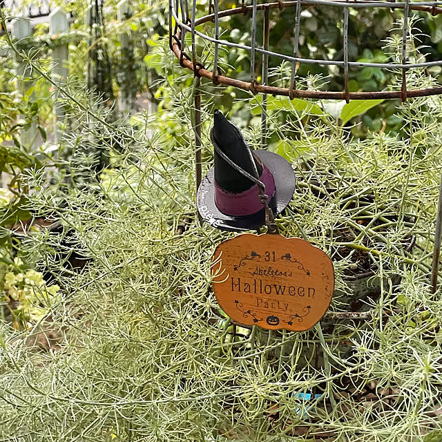 nobikoさんの部屋