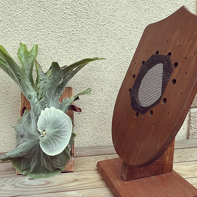 seiseiさんの部屋