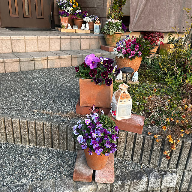 ritsukoさんの部屋