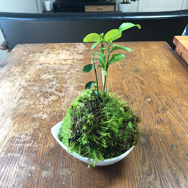 azureさんの実例写真