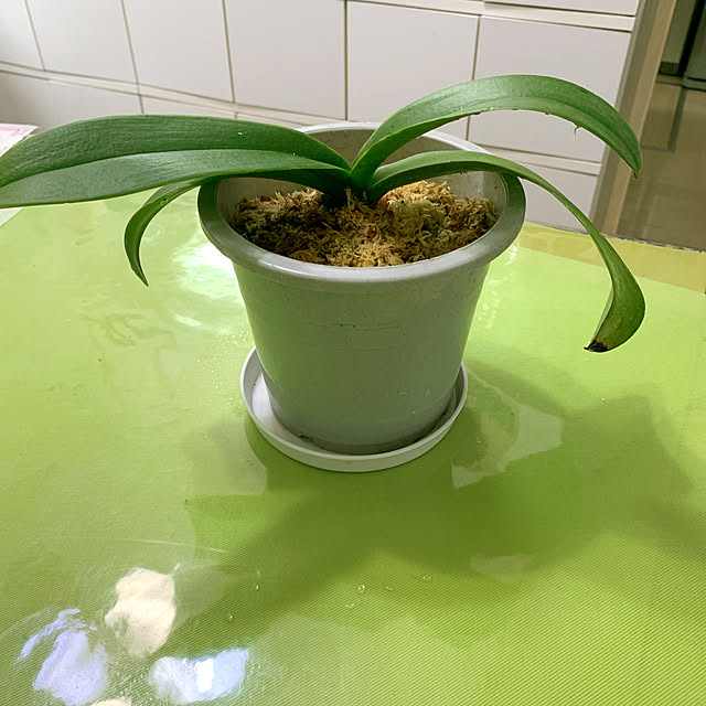 eshinobumさんの部屋