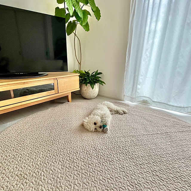 meruさんの実例写真