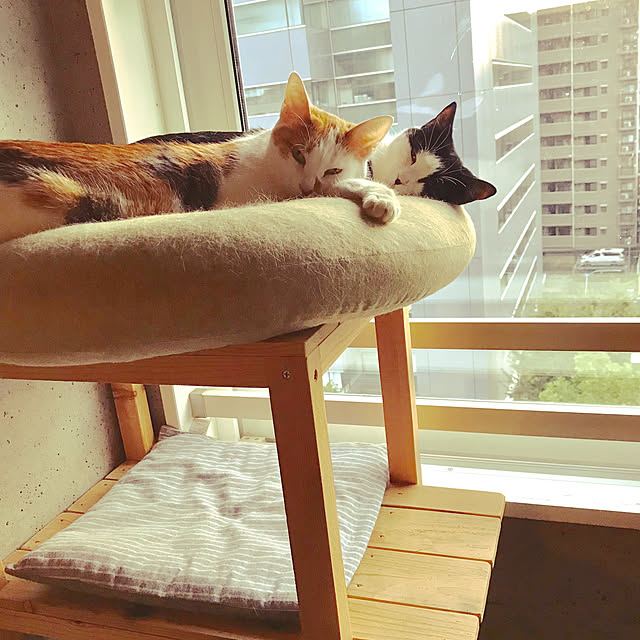 ziziguguさんの実例写真