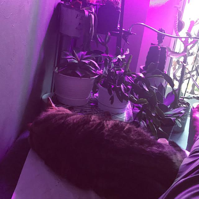 mmmさんの実例写真