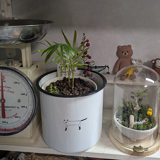 mori_6_12さんの部屋