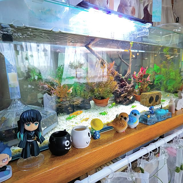 mariaさんの部屋