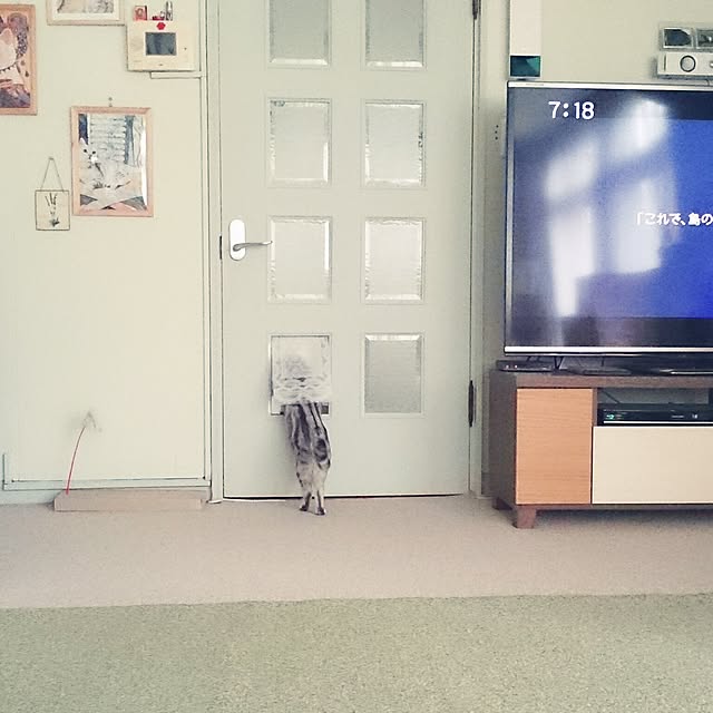 simaumaさんの実例写真