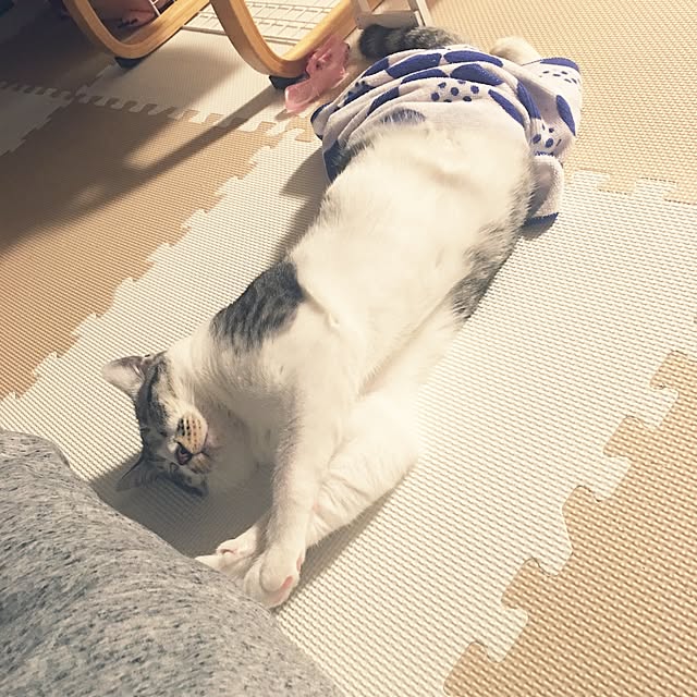 ALPSさんの実例写真