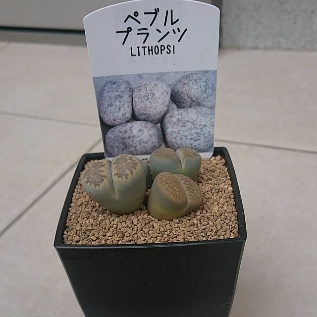 hideさんの実例写真