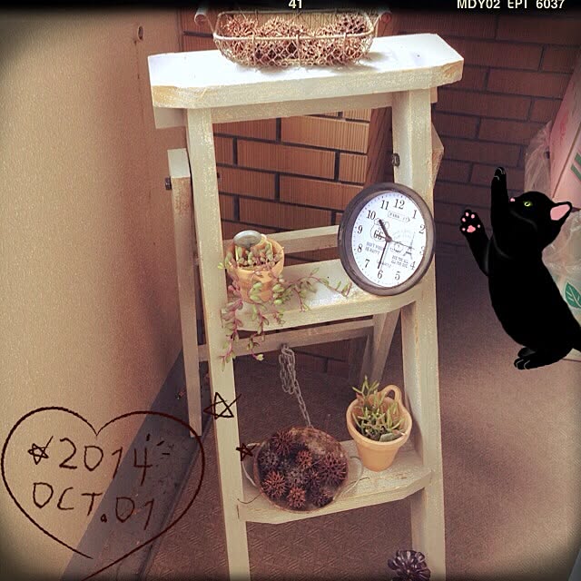 cocoaさんの実例写真