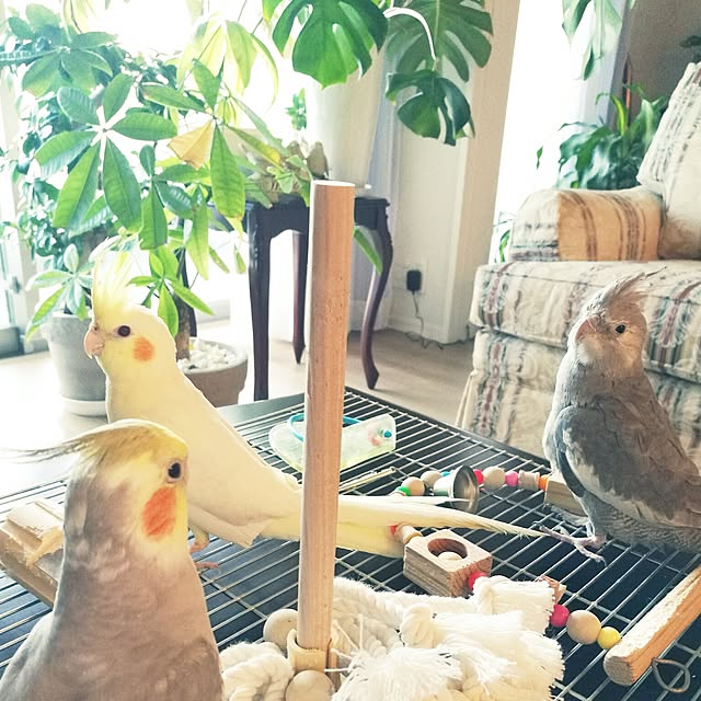 Annaさんの実例写真