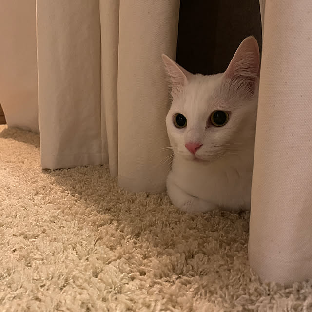 keiさんの部屋