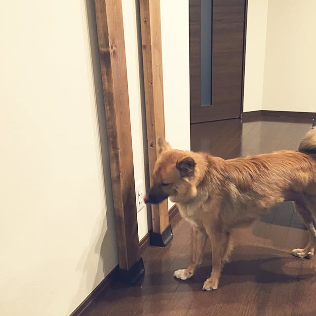 hikanaさんの実例写真