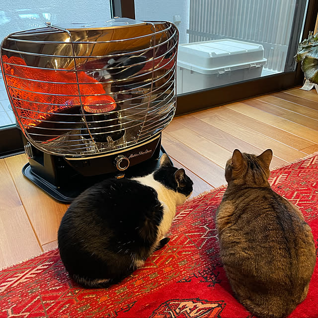 maruさんの実例写真