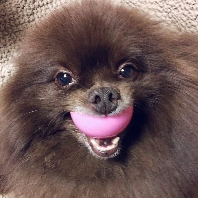 manmaru3さんの実例写真