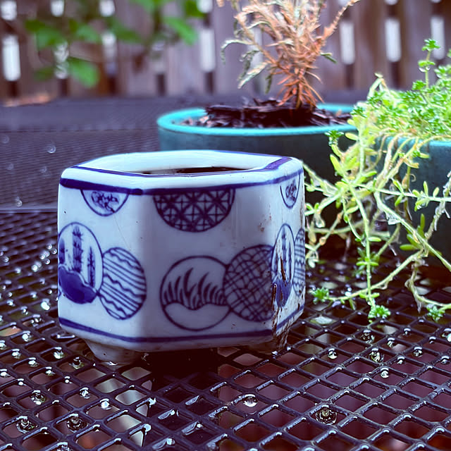 chacoさんの部屋