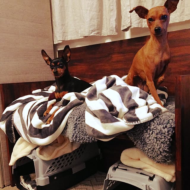 l_heureuxさんの実例写真