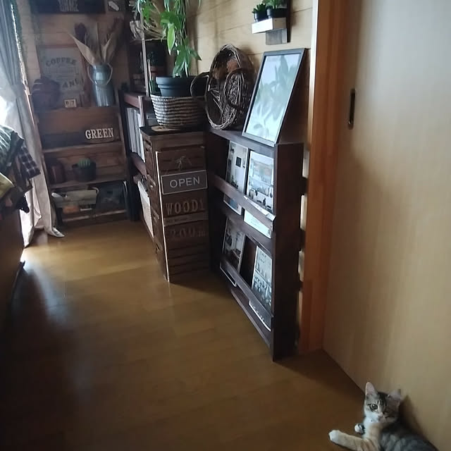 Brown.Lifeさんの実例写真
