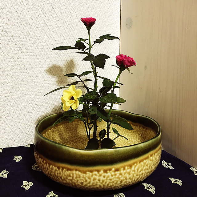fuyiqian1026さんの実例写真