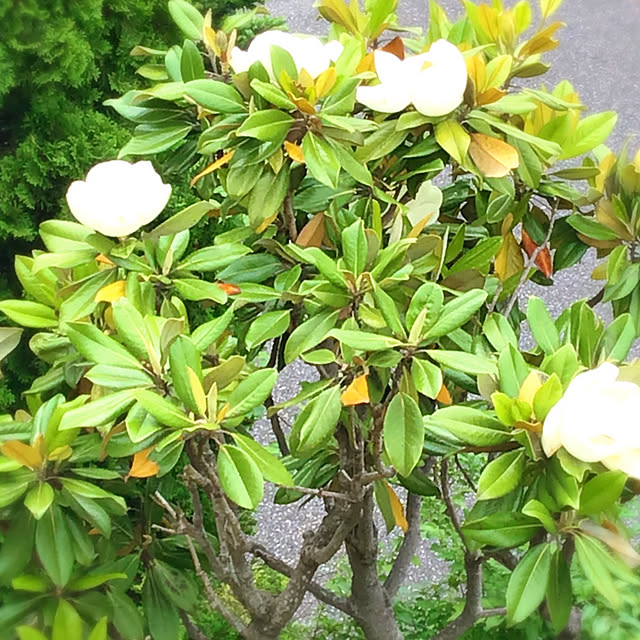 sunabaさんの実例写真
