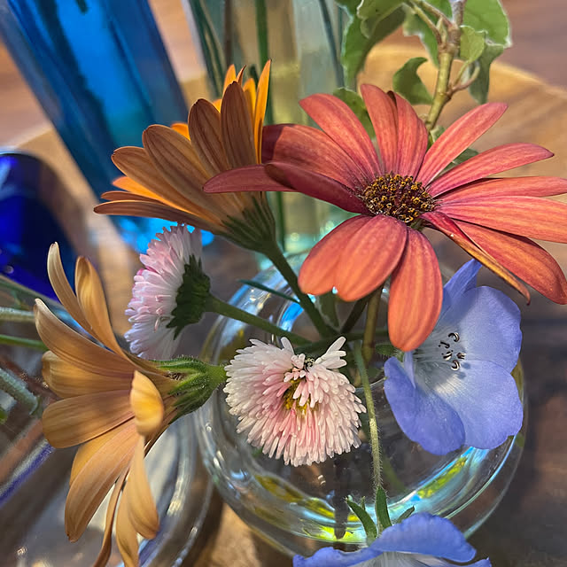 namecoさんの部屋