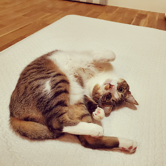 jinroさんの実例写真
