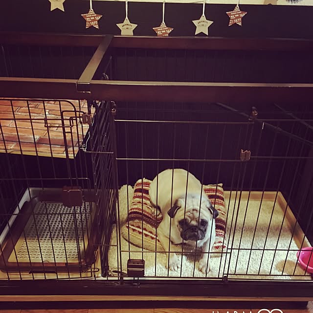 HARUMOさんの実例写真