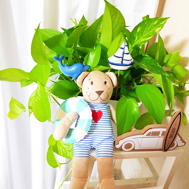 katさんの実例写真
