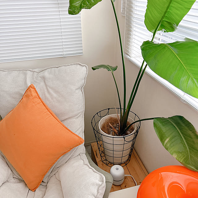 mako2yaさんの実例写真