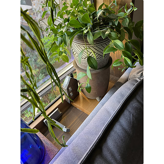 cotaさんの部屋