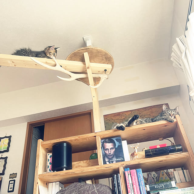 Mさんの実例写真
