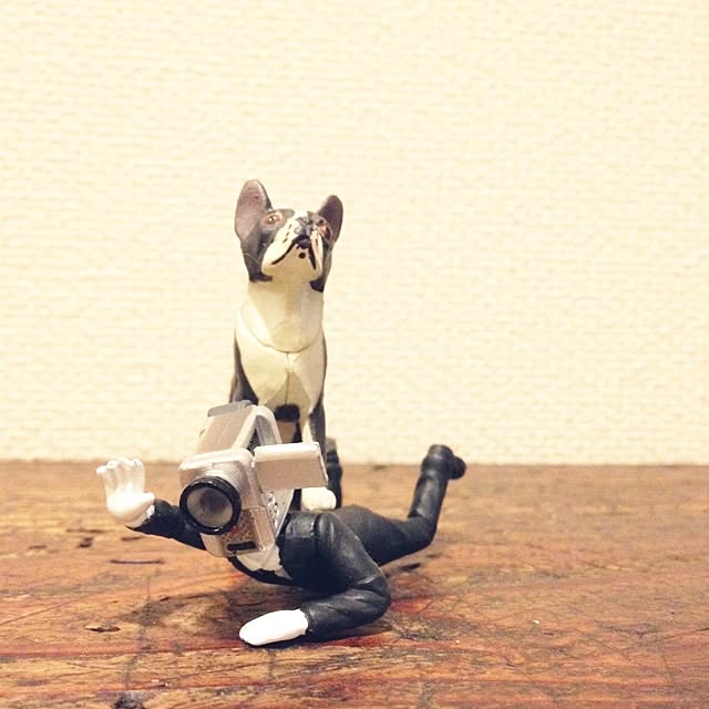 panさんの実例写真