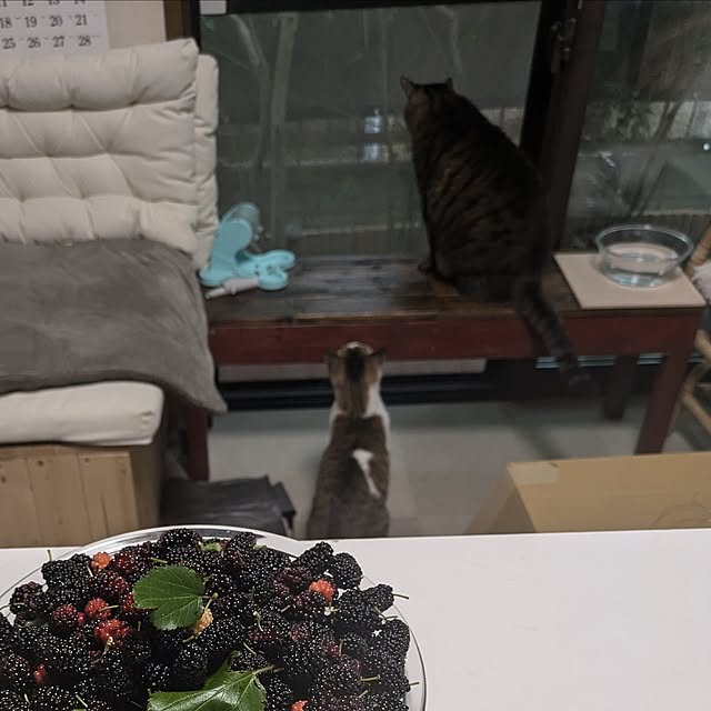 mori_6_12さんの部屋