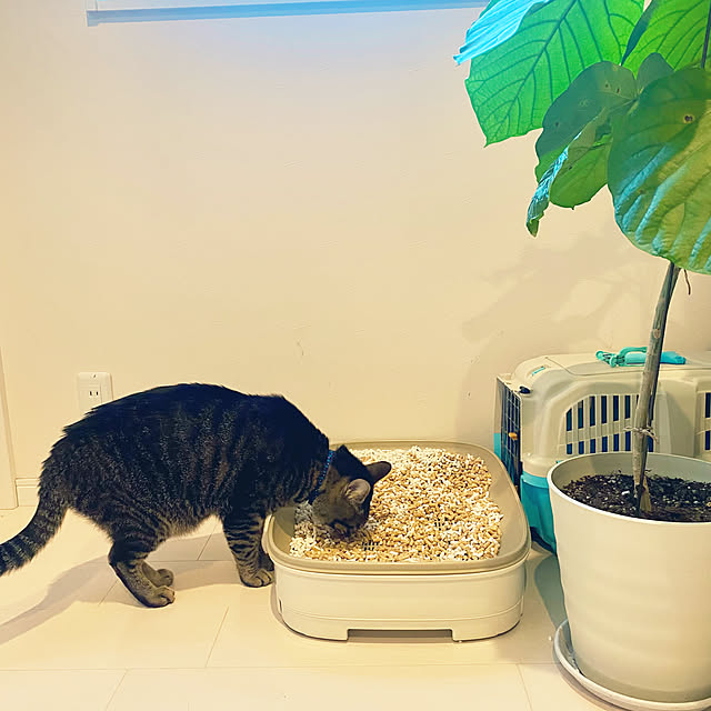 mmeeronさんの部屋