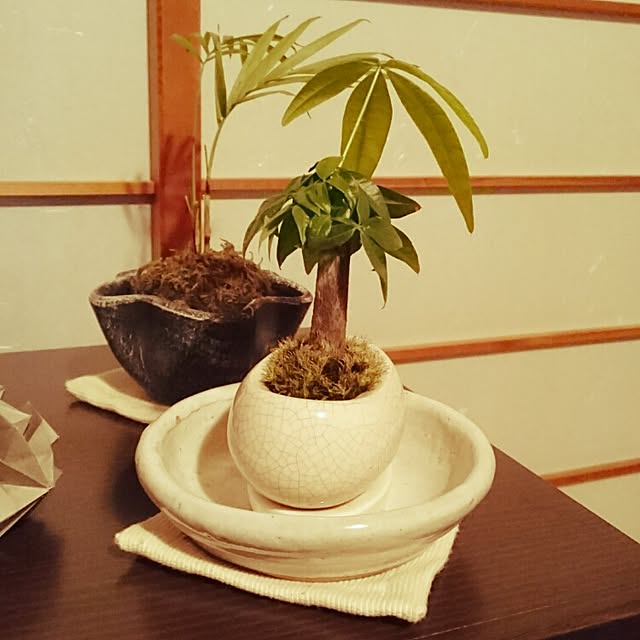 PEKOさんの実例写真