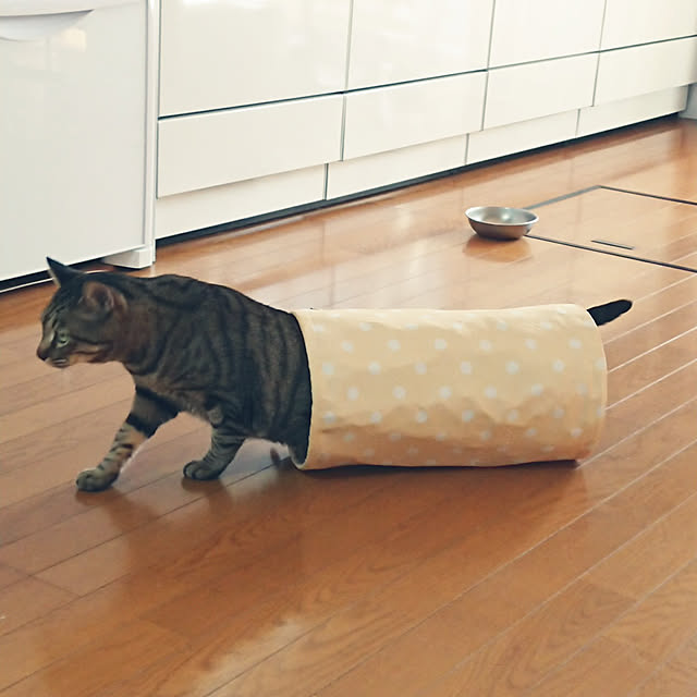 nachiさんの実例写真