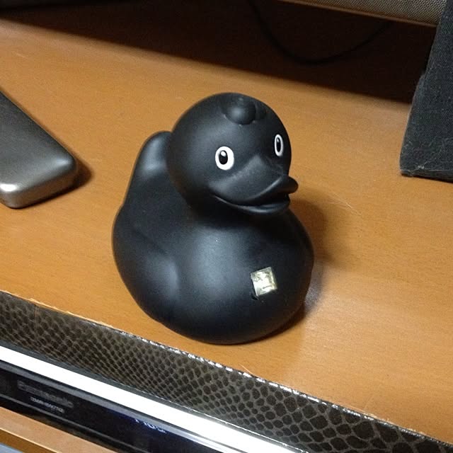 salyuさんの実例写真