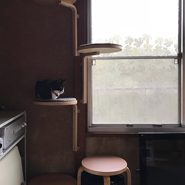 nejimakiさんの実例写真