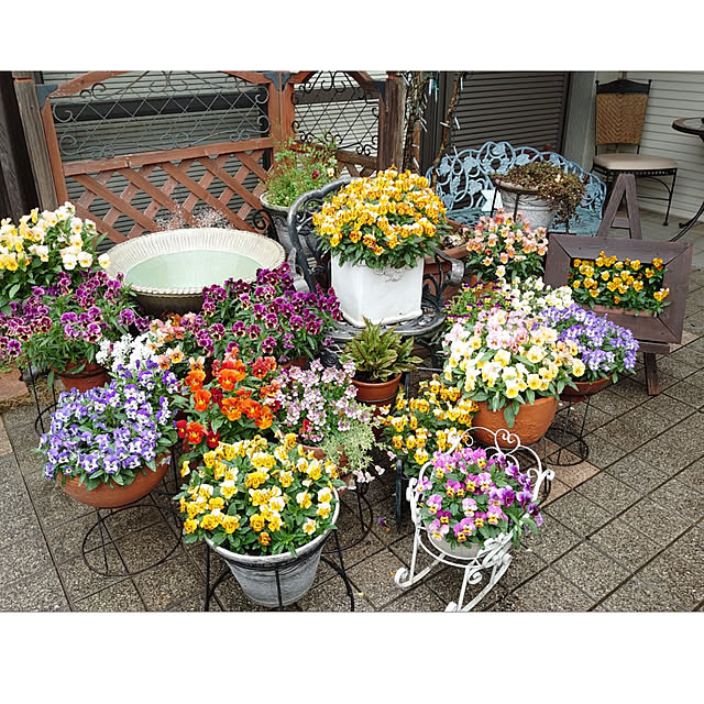 moco-hanamaruさんの実例写真