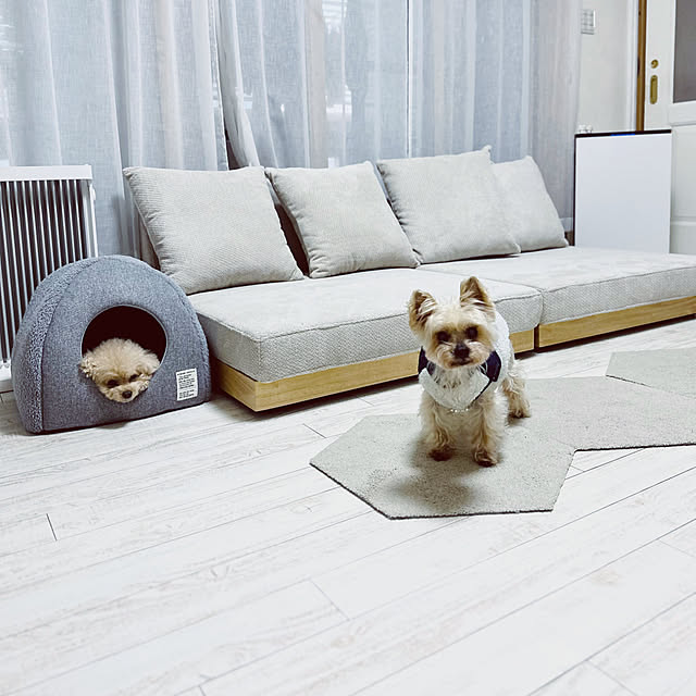 pocoさんの実例写真