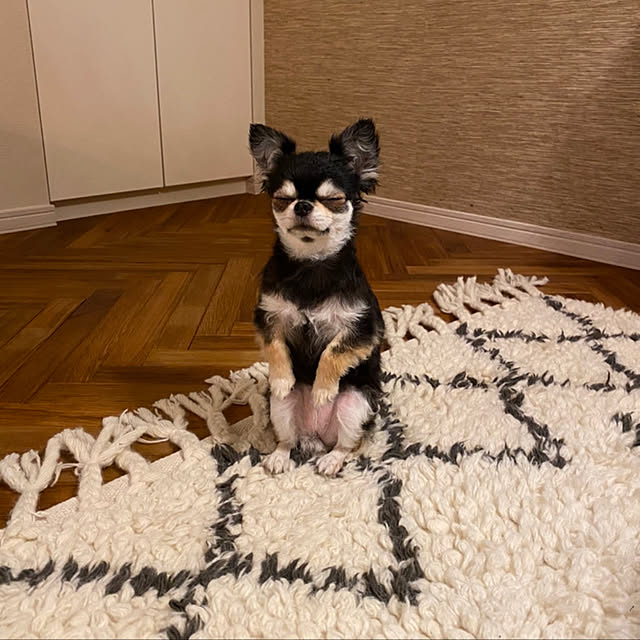 Benikaさんの実例写真