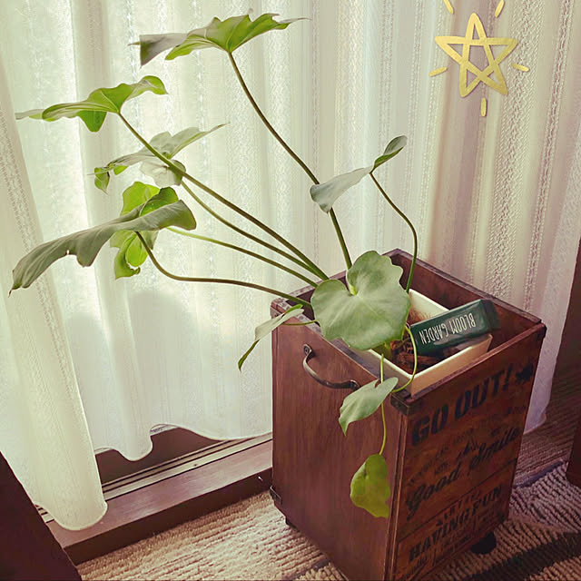 tomoさんの実例写真