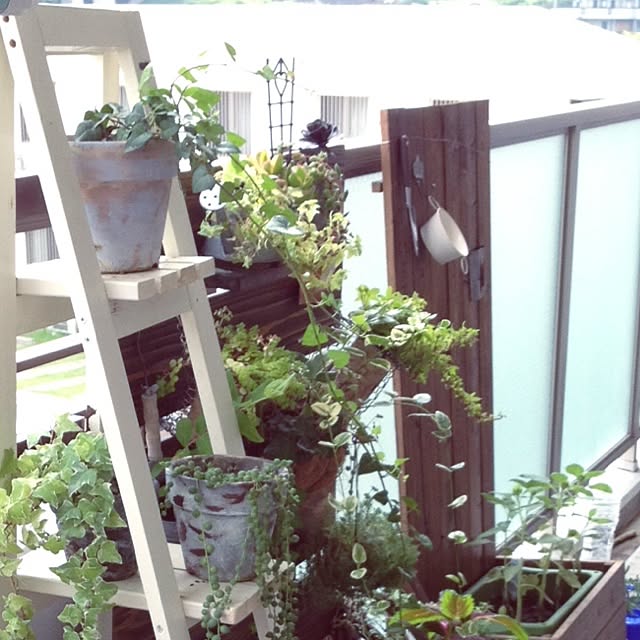 ma_saruさんの実例写真