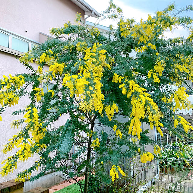 chisaさんの部屋