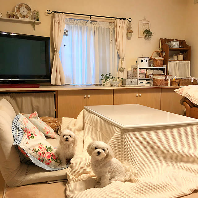 reopopoさんの実例写真