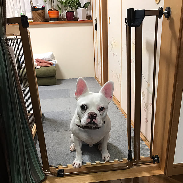 gin_mamaさんの実例写真