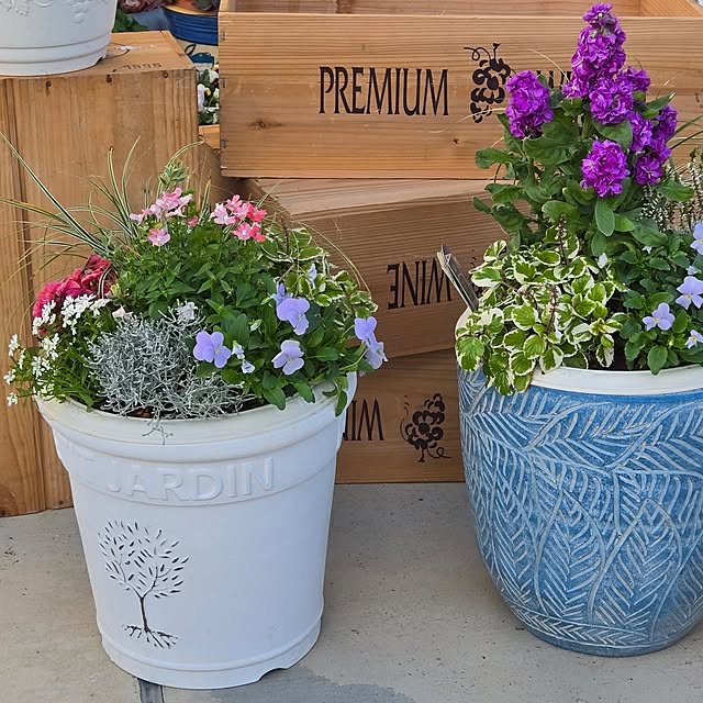 nonbiri_house_さんの部屋