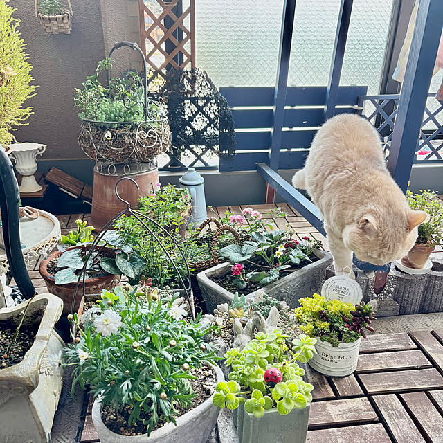 naokoさんの部屋